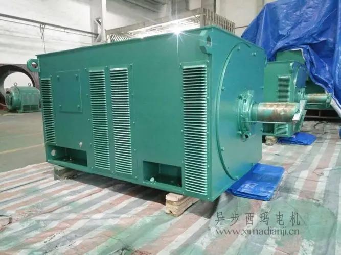 西瑪電機(jī)Y5603-10 560KW <a href=http://m.yanyuanfe.cn/new/new-47-621.html target='_blank'><a href=http://m.yanyuanfe.cn/new_tags_225.html target='_blank'>10kv高壓電機(jī)</a></a>