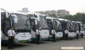 上海租車服務指南 從日常代步到長途包車的全方位選擇